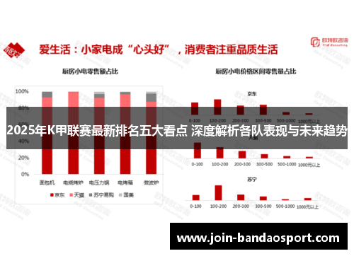 2025年K甲联赛最新排名五大看点 深度解析各队表现与未来趋势
