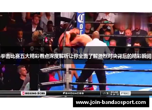 拳击比赛五大精彩看点深度解析让你全面了解激烈对决背后的精彩瞬间