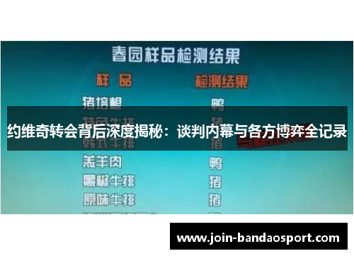 约维奇转会背后深度揭秘：谈判内幕与各方博弈全记录