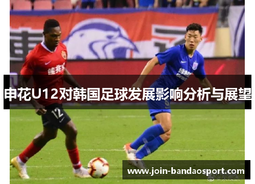 申花U12对韩国足球发展影响分析与展望