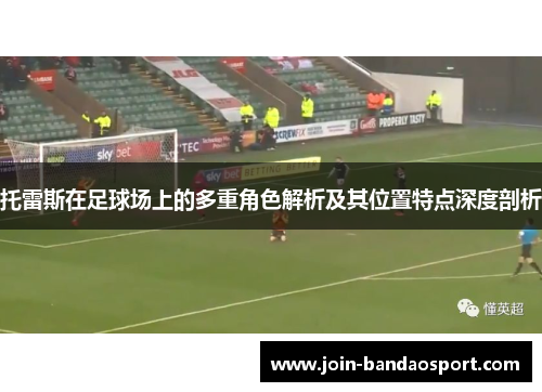 托雷斯在足球场上的多重角色解析及其位置特点深度剖析