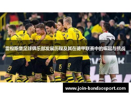 雷根斯堡足球俱乐部发展历程及其在德甲联赛中的崛起与挑战