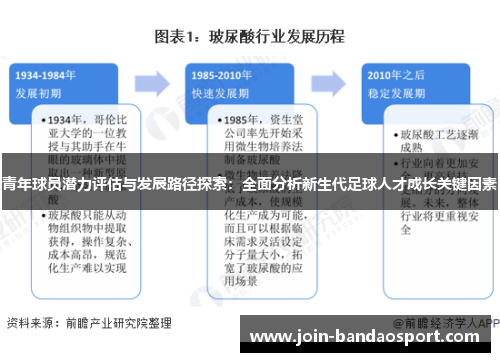 青年球员潜力评估与发展路径探索：全面分析新生代足球人才成长关键因素