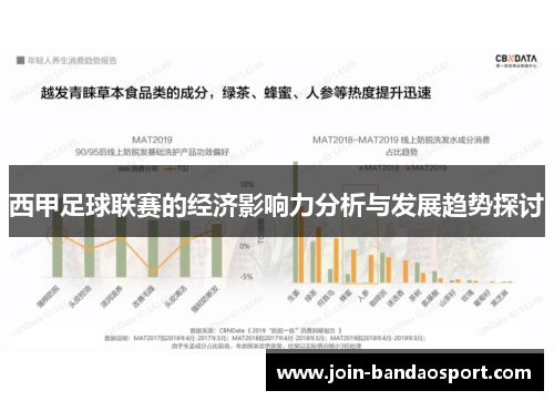 西甲足球联赛的经济影响力分析与发展趋势探讨