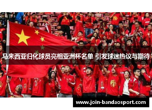 马来西亚归化球员亮相亚洲杯名单 引发球迷热议与期待